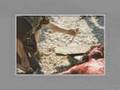 All Because (The Passion of Christ) by Tree63 ...