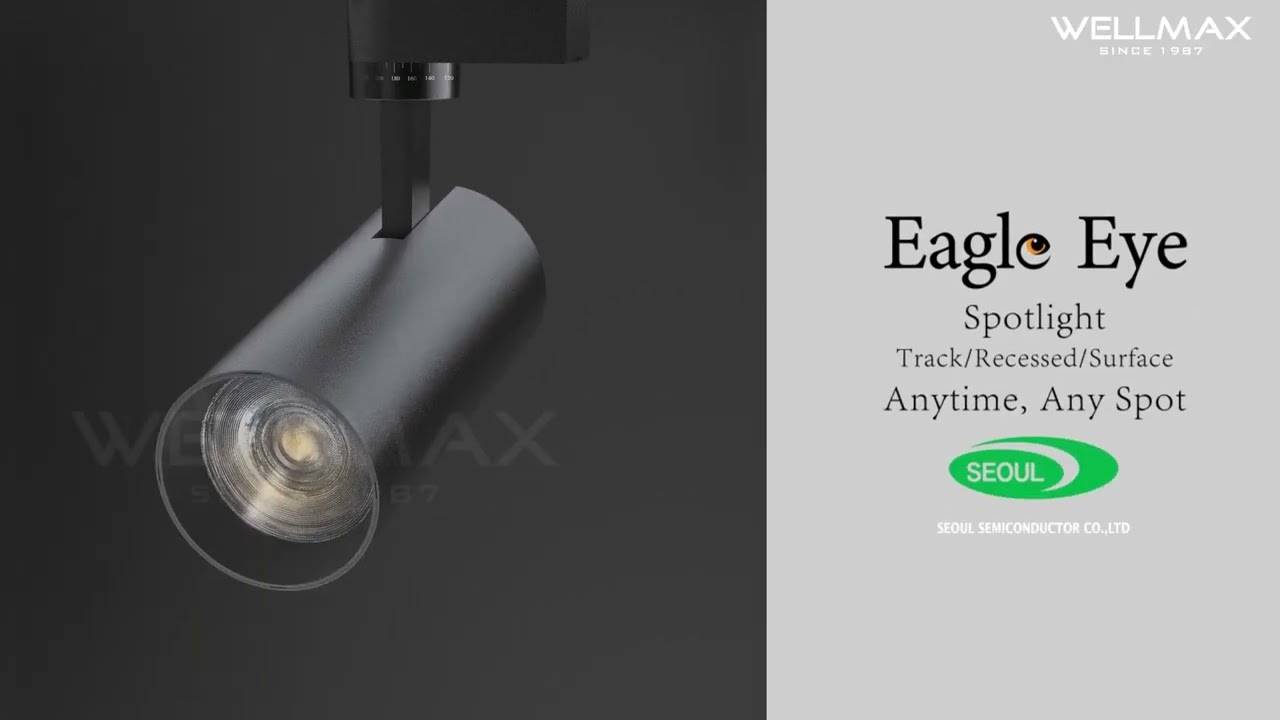 The Eagle Eye Spotlight 🦅| Discover 3 Styles！