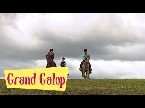 Grand Galop 220 - Un pensionnaire remuant (Partie 2) | HD | Épisode Complet