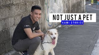 They can feel how we feel - dog trainer | Kami