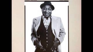 Muddy Waters - I Want To Be Loved (Hard Again)