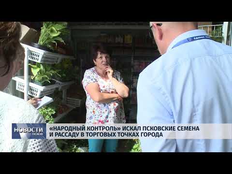 Новости Псков 17.05.2018 # "Народный контроль" искал псковские семена и рассаду в Пскове 