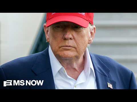 Trump 'will do anything' to interfere with midterm elections, says Sen. Alex Padilla