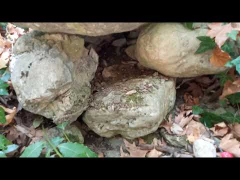 Bölgede Define Kaya Kasası Arama Anı !!!