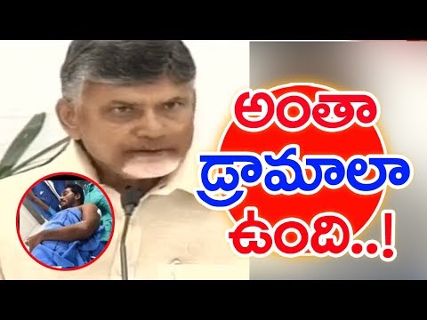 CM Chandrababu Naidu responds to YS Jagan s Airport Incident   Mahaa News