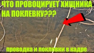 Рыбалка в магнитогорске где клюет щука