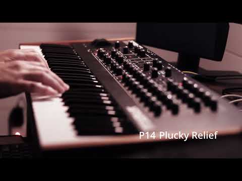 Sequential REV2 | Revelations Patch Bank