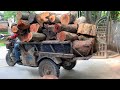 Compilation Tree Stumps Transformation Projects Of Genius Boy - Amazing Woodworking Skills And Ideas