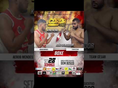 tv coroa fight powwwwww chamada