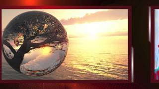 Could We Survive by Joseph Arthur