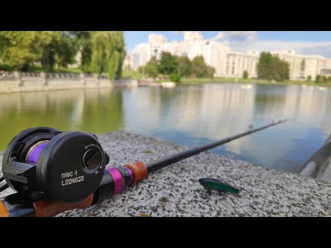 Покидушки с Loongze B51AIRHG DBC-1