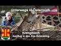 Krenglbach Zu Besuch Bei Gorilla Giraffe Co
