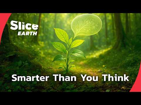 Talking Plants: The Hidden Language of Nature | SLICE EARTH | FULL DOC