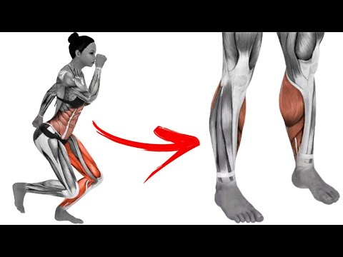 SUPER TRAINING FOR CALVES
