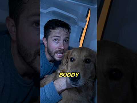 You Won’t Believe What This Dog Did After the Asteroid Hit…🐕❤️