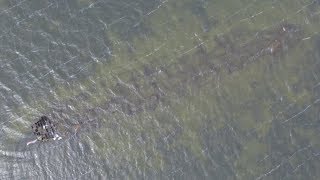 Pappy Lane Shipwreck