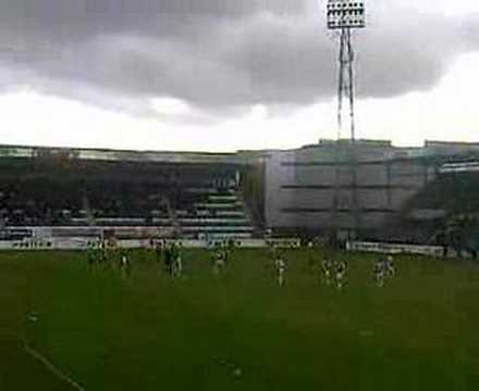 fc den bosch fc den haag TIFO