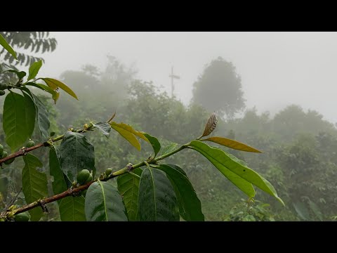 [Good Business] AI as a social good