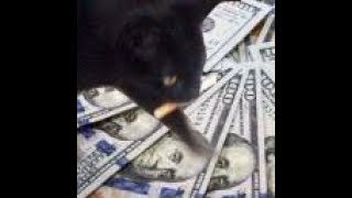 a message from poptart