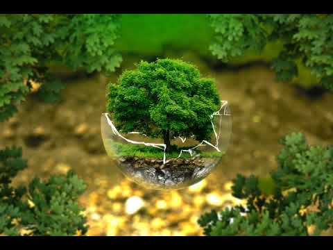 Dreams in Green   Justnormal