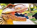 Shafa And Soso In Dinasoure Museum Shafa Story