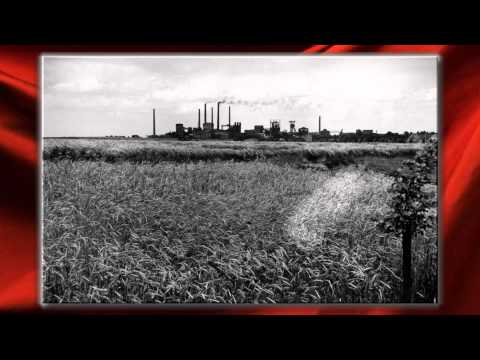 Video thumbnail for På stengrunn