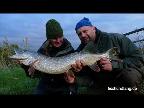 Matze Koch: Wedding Anniversary Pike with PB - Matze's Antics 12-2018