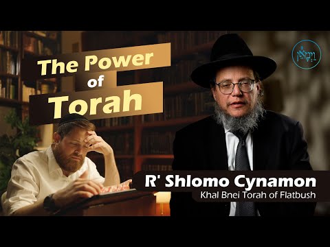 The Power of Torah | Rabbi Shlomo Cynamon
