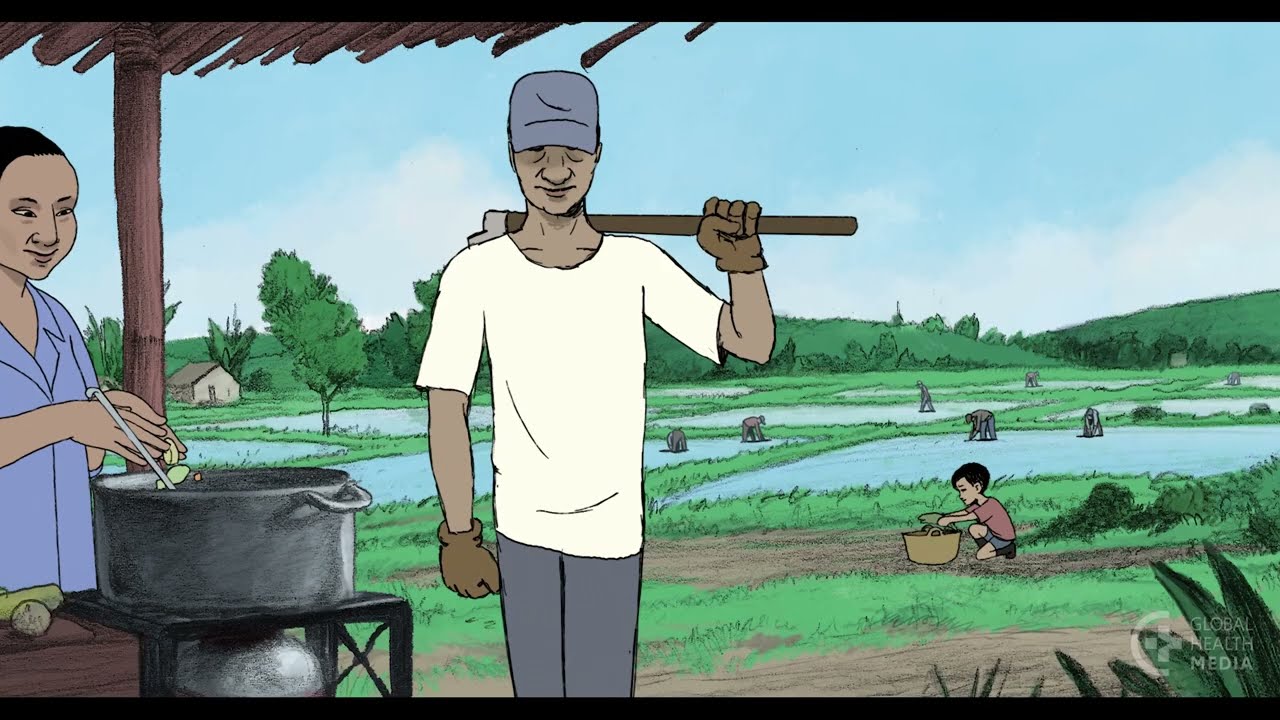 The Story of Sugar (in Spanish)