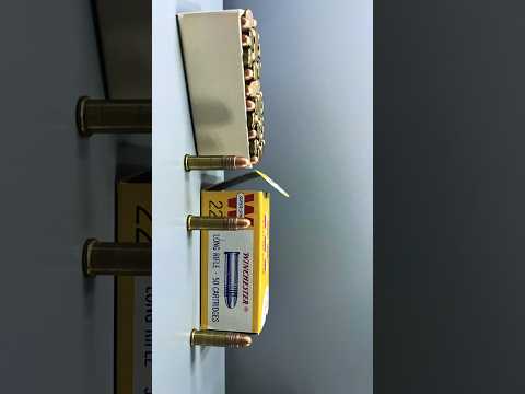 Winchester Silvertip 22lr Ammo Review