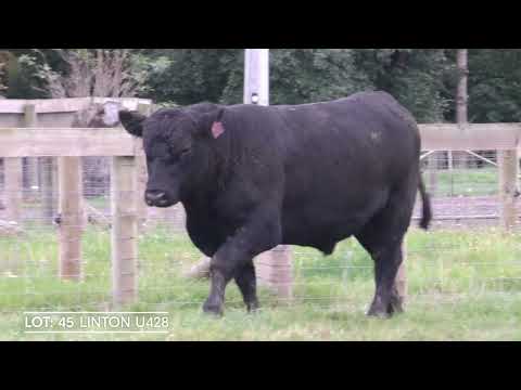 Lot 45  LINTON U428PV