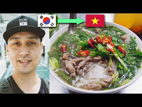 GOODBYE KOREA, HELLO VIETNAM | First day in Hanoi, Best Pho Noodles so far, Ripped off by Fruit lady