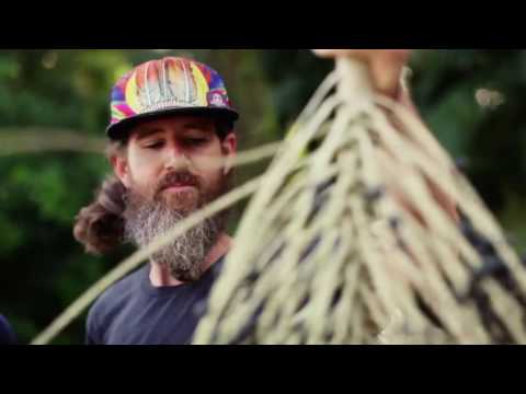 Amazon Superfood  Açaí 1