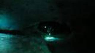 preview picture of video 'Cenote cavern diving video in yucatan'