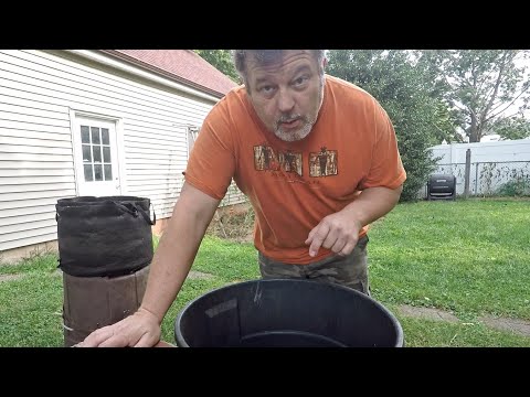 3rd haul of worms from composting bin into outdoor worm bin - vermicomposting