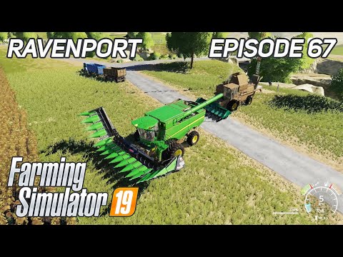 New Harvester Header, New Sunflower Harvesting | Farming Simulator 19 | Timelapse | Ravenport #67