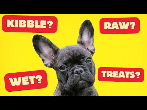 Best Dog Food For French Bulldogs ✅