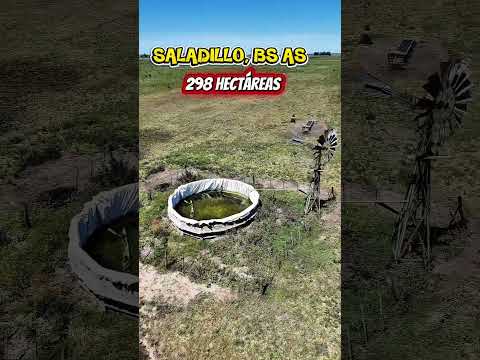 298 Hectáreas en Saladillo