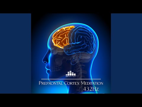 Whole Being Regeneration