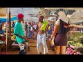 Aidfest Kineo NAFE Official Music Video