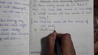 Write Questions For The Answers