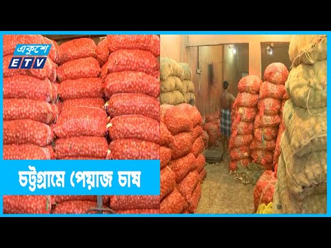 কৃষকরা ঝুকছেন পেঁয়াজ চাষাবাদে