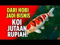 KOI FISH CULTIVATION FROM A HOBBY TO A PROFITABLE BUSINESS