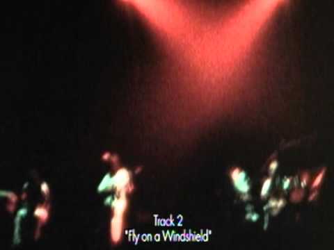 Video thumbnail for Fly on a Windshield