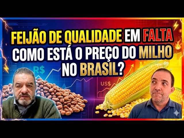 Feijão de qualidade em falta; Milho: Preços no Brasil, dólar e Chicago