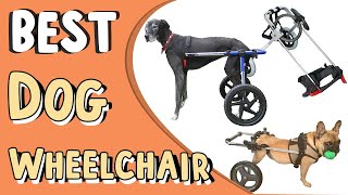 Top 5 Best Dog Wheelchair In 2022 _ Diy Dog Wheelchair