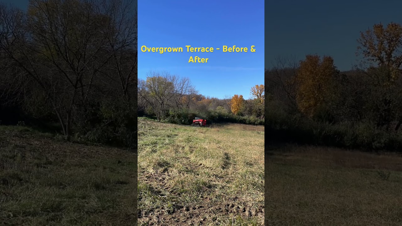 Cedar Hill Brush Clearing Timelapse - Click to Play