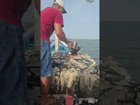 RETORNO PARA APICUM AÇU- MA  QUEREMOS AGRADECER AO SR.ANTONIO POR PROPORCIONAR  ESTE MOMENTO ÚNICO.