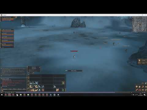 Lineage2 Classic  NA Server Giran THE PURGE