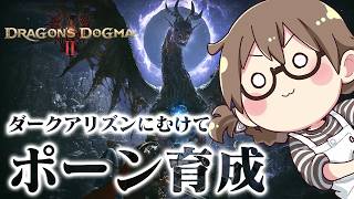 大型拡張DLC発売前にのんびりポーンの育成をする覚者【ドラゴンズドグマ2】